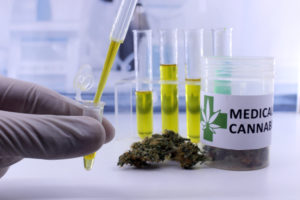 medical cannabis