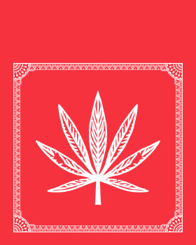 California Street Cannabis Dispensary