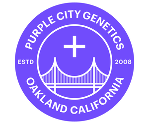 Exclusive  ‘Mango Mintality’ Seedlings From Purple City Genetics